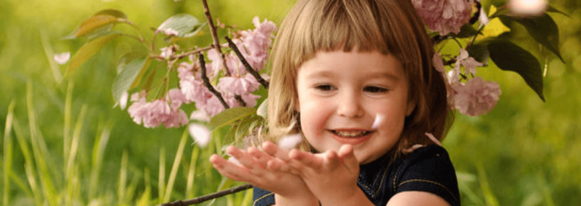 Polen Alerjisinin Nedenleri Nelerdir?